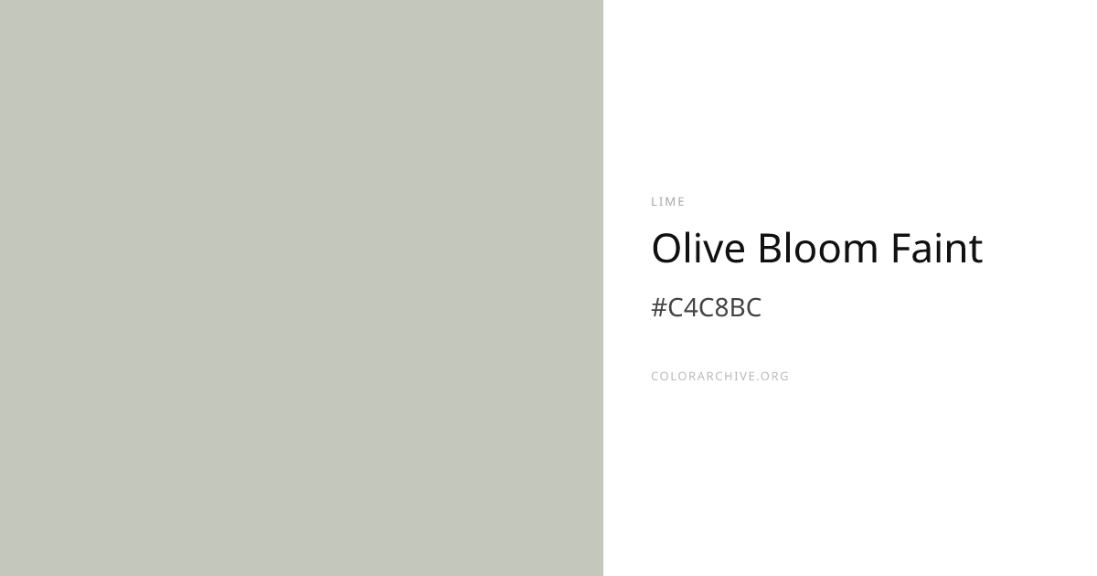 Olive Bloom Faint — #C4C8BC Hex Color Code | ColorArchive
