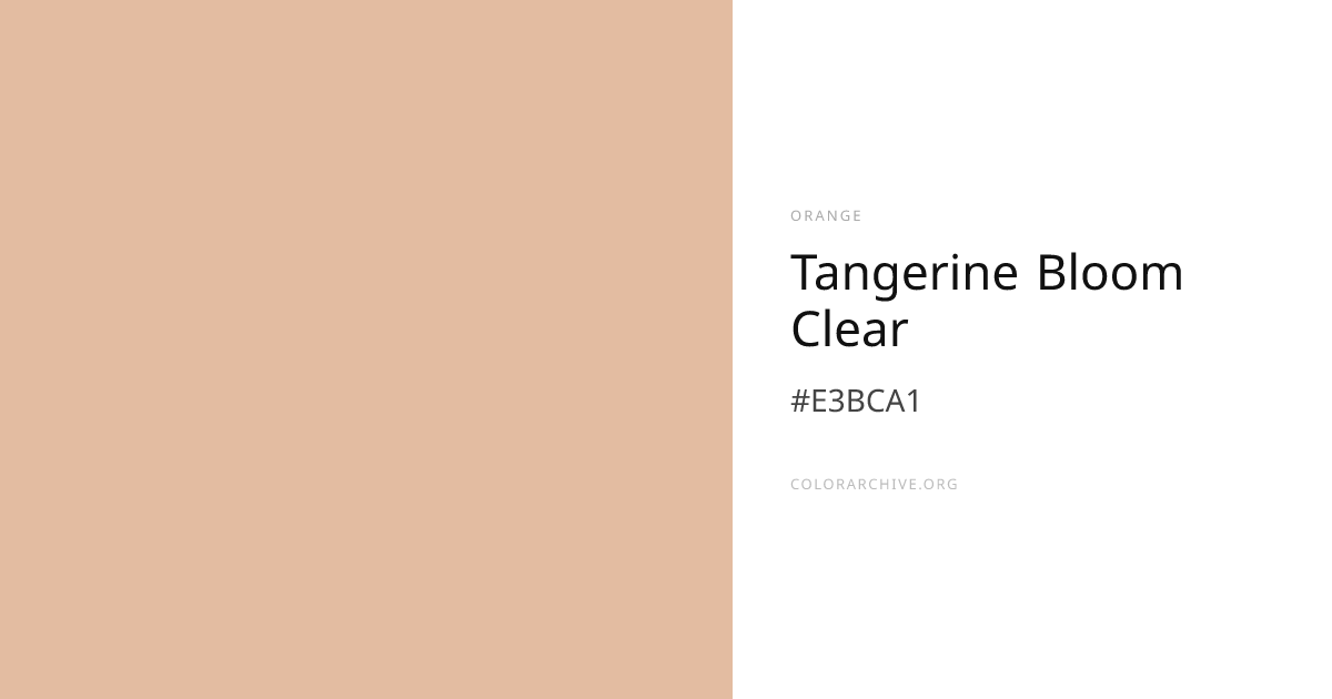 Tangerine Bloom Clear — #E3BCA1 Hex Color Code | ColorArchive